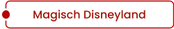 Magisch Disneyland