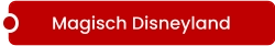 Magisch Disneyland